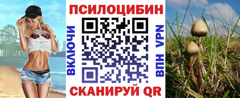 МЕГА ссылка  Долинск  Галлюциногенные грибы GOLDEN TEACHER  купить  